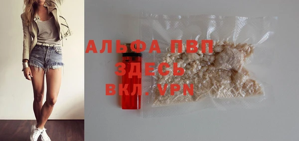 spice Вяземский