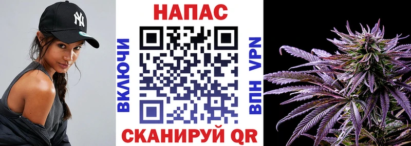 Бошки марихуана конопля  МЕГА зеркало  Никольское 